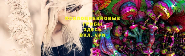 соль курить ск Алексеевка