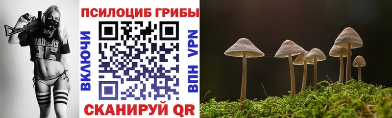 Галлюциногенные грибы MAGIC MUSHROOMS  наркошоп  Омутнинск 
